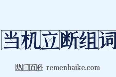 当机立断组词是什么意思的图片